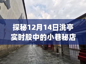 2024年12月 第448页