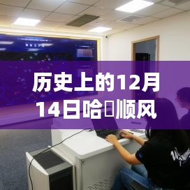 历史上的12月14日哈啰顺风车开启实时接单新纪元，新功能揭秘与实时单接入探讨