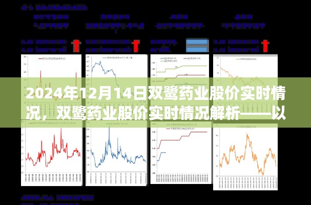 2024年12月14日双鹭药业股价实时解析