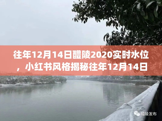 小红书风格揭秘，醴陵水位背后的故事——历年12月14日实时水位动态大揭秘💦🌊