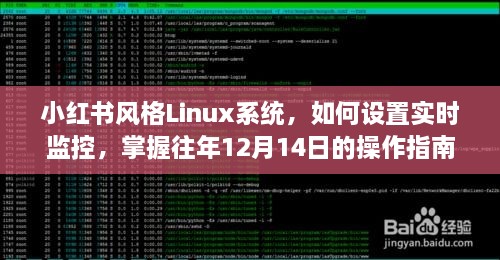 小红书风格Linux系统，实时监控设置及往年12月14日操作指南全掌握