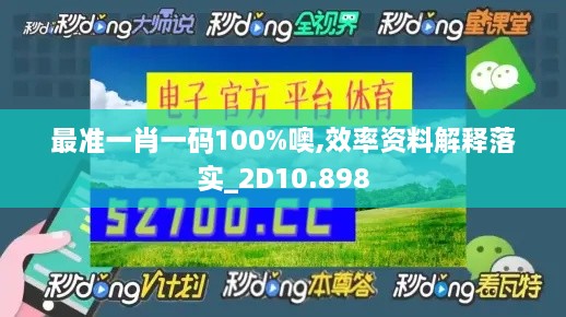 最准一肖一码100%噢,效率资料解释落实_2D10.898