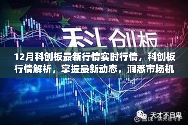 12月科创板实时行情解析，掌握市场动态，洞悉市场机遇的指南