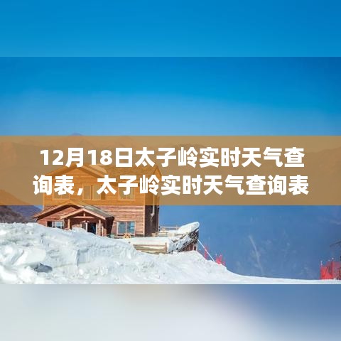 太子岭实时天气查询表，领略冬日风情，精准气象报告出炉！