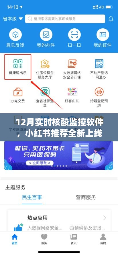 12月实时核酸监控软件，小红书推荐，守护您的健康新选择