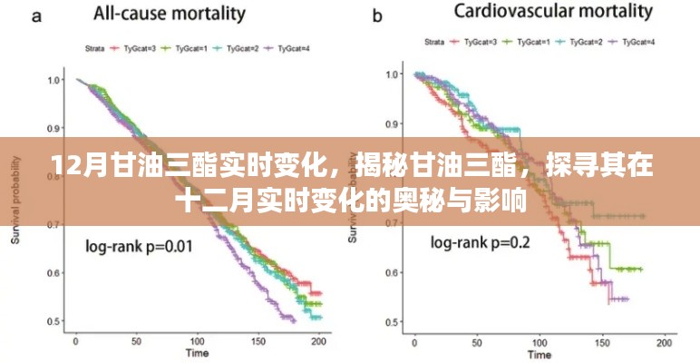 揭秘十二月甘油三酯实时变化，探寻其奥秘与影响