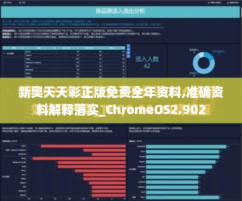 新奥天天彩正版免费全年资料,准确资料解释落实_ChromeOS2.902