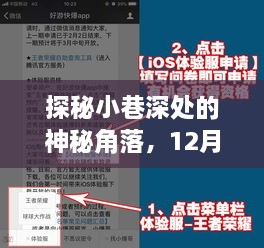 探秘小巷深处，全新iOS实时翻译输入法体验之旅（12月14日）