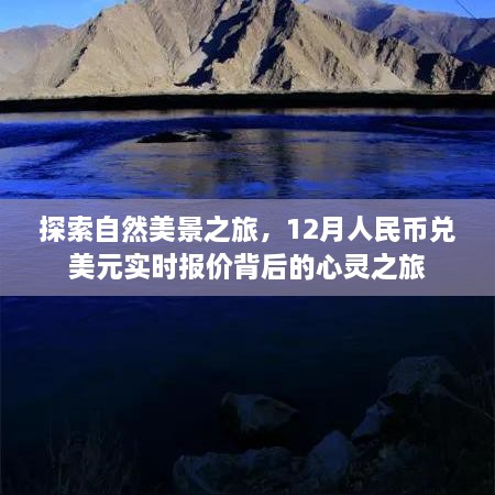 自然探索之旅与金融心路，实时汇率下的心灵探索之旅