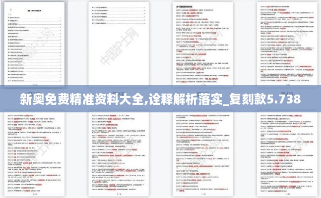 新奥免费精准资料大全,诠释解析落实_复刻款5.738