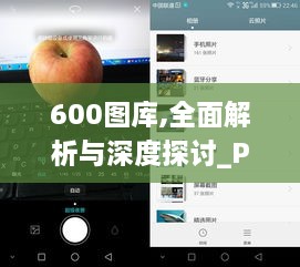 600图库,全面解析与深度探讨_Phablet11.928