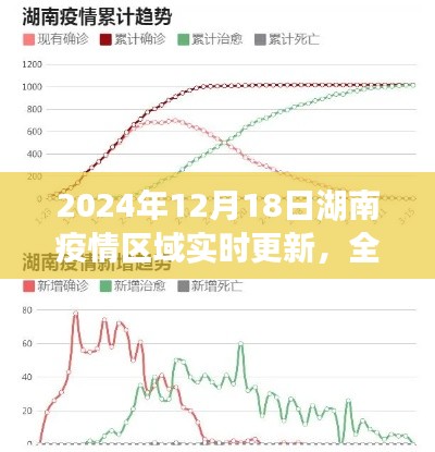 湖南疫情区域实时更新系统，全面评测与洞察其特性与体验（2024年视角）