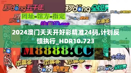 2024澳门天天开好彩精准24码,计划反馈执行_HDR10.723