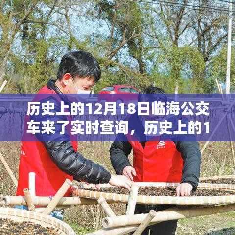 临海公交车实时查询系统，深度评测与介绍，历史12月18日实时数据一览