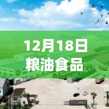 2024年12月18日 第8页