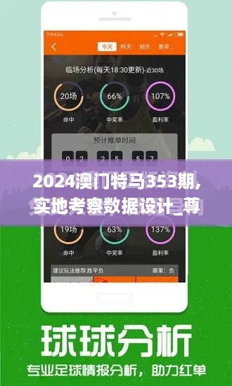 2024澳门特马353期,实地考察数据设计_尊贵版4.892