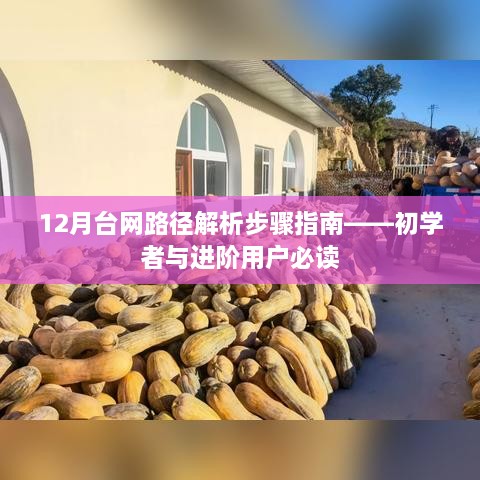 初学者与进阶用户必读的台网路径解析步骤指南