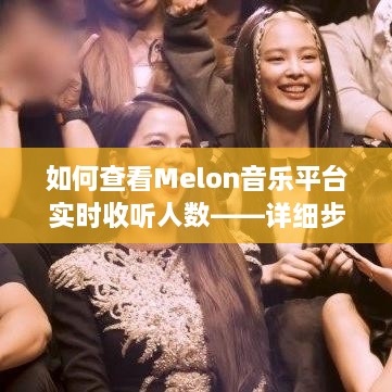 Melon音乐平台实时收听人数查看指南，初学者与进阶用户的详细步骤教程