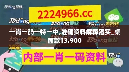 一肖一码一特一中,准确资料解释落实_桌面款13.900