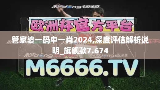 管家婆一码中一肖2024,深度评估解析说明_旗舰款7.674