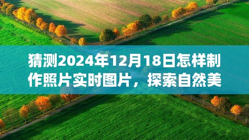 探索自然美景之旅，2024年12月18日如何实时制作照片，捕捉宁静瞬间