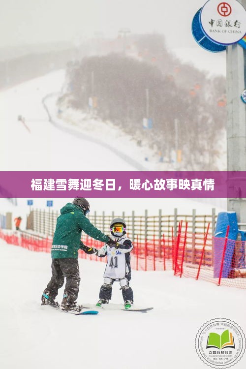 福建雪舞迎冬日，暖心故事传递真情