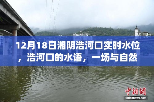 12月18日湘阴浩河口实时水位探秘，一场与自然美景的浪漫邂逅