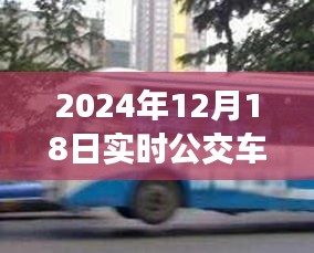 探秘公交奇遇，实时提醒与小巷特色小店的奇妙缘分（2024年12月18日）