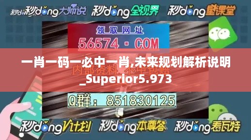 一肖一码一必中一肖,未来规划解析说明_Superior5.973