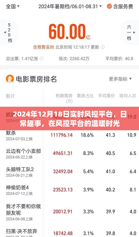 风控平台的温暖时光，日常趣事记录与实时风控平台体验分享