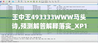 王中王493333WWW马头诗,预测解答解释落实_XP16.704