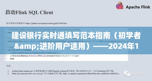 建设银行实时通填写范本指南，操作示例（适用于初学者与进阶用户，2024年12月14日）