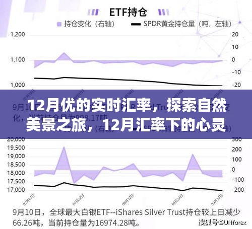 12月汇率下的心灵探索之旅，启程寻找内心的宁静与平和