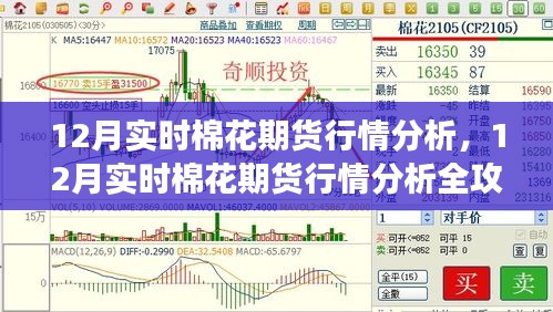 洞悉棉花期货市场趋势，12月棉花期货行情分析全攻略