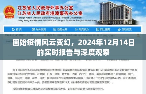 固始疫情风云变幻，实时报告与深度观察（2024年12月14日）