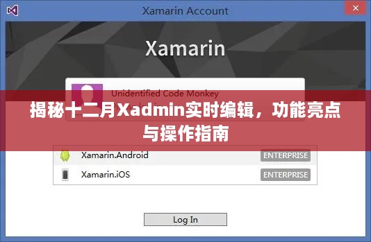 揭秘十二月Xadmin实时编辑，功能亮点及操作指南详解