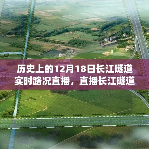 长江隧道实时路况直播，爱的陪伴与成长的温馨故事（12月18日）