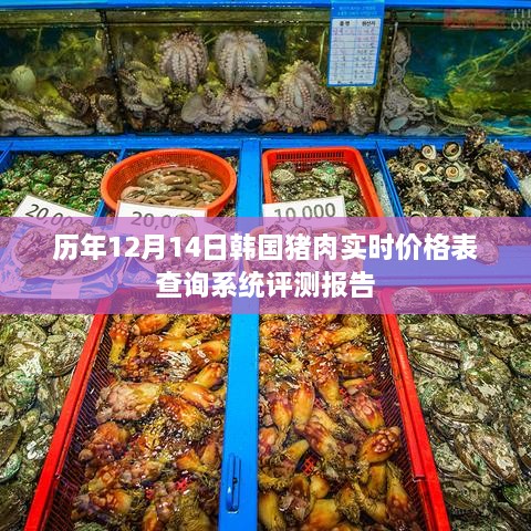 历年韩国猪肉实时价格查询系统评测报告，深度解析与体验分享