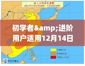 初学者与进阶用户天气实时排名查询指南，12月14日天气查询步骤详解