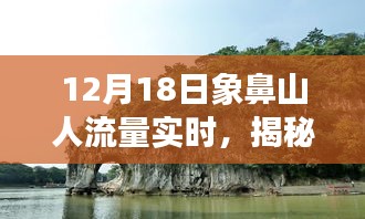 揭秘象鼻山，12月18日人潮涌动背后的故事与实时人流量分析