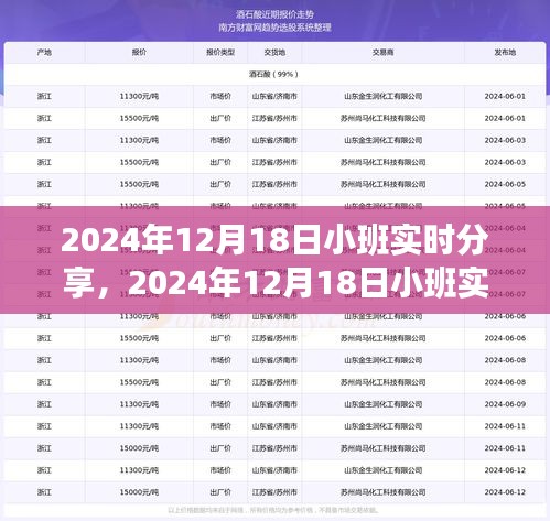 2024年12月18日小班实时分享活动步骤指南，从初学者到进阶用户的全方位指导