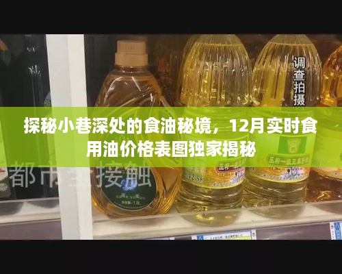 探秘小巷深处的食油秘境，独家揭秘食用油价格表图与实时行情