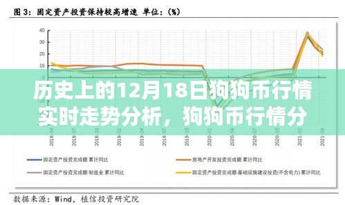 狗狗币行情分析，揭秘历史12月18日走势与实时行情利器