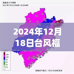 2024年台风袭击福建，风雨交加实时画面记录