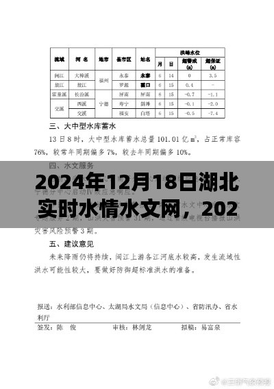 湖北实时水情水文网使用指南，从初学者到进阶用户