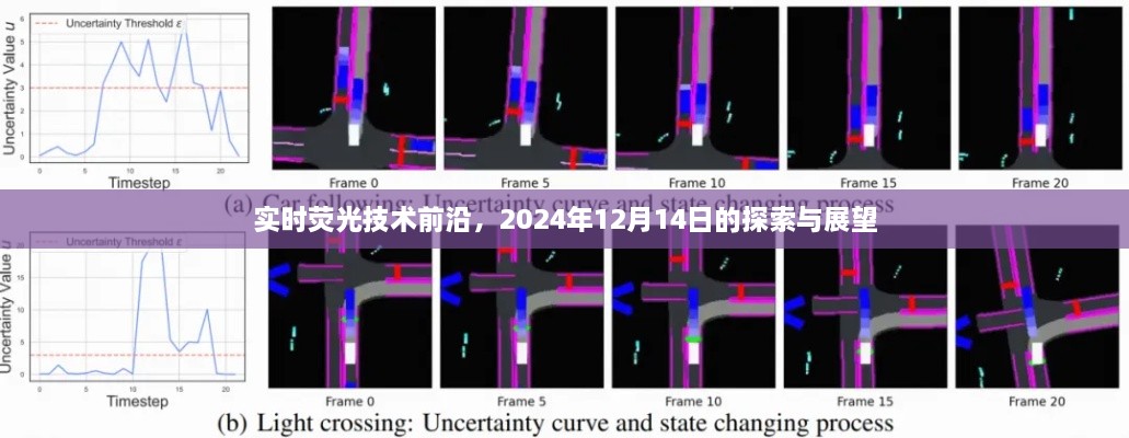 实时荧光技术前沿探索与展望，展望至2024年未来趋势分析