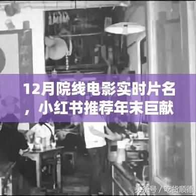 小红书推荐年末巨献，盘点不容错过的视觉盛宴——12月院线电影实时片名