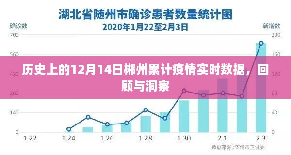 12月14日郴州累计疫情实时数据回顾与洞察