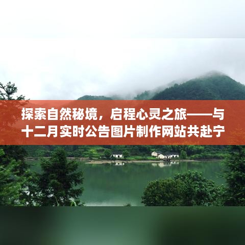 探索自然秘境，十二月实时公告图片制作网站启程心灵之旅