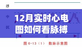 12月实时心电图解读，如何准确观察脉搏波动与解读方法